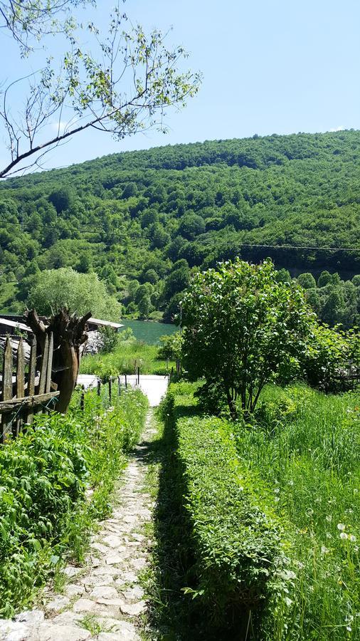 Vila Pandora Mavrovo Exteriér fotografie