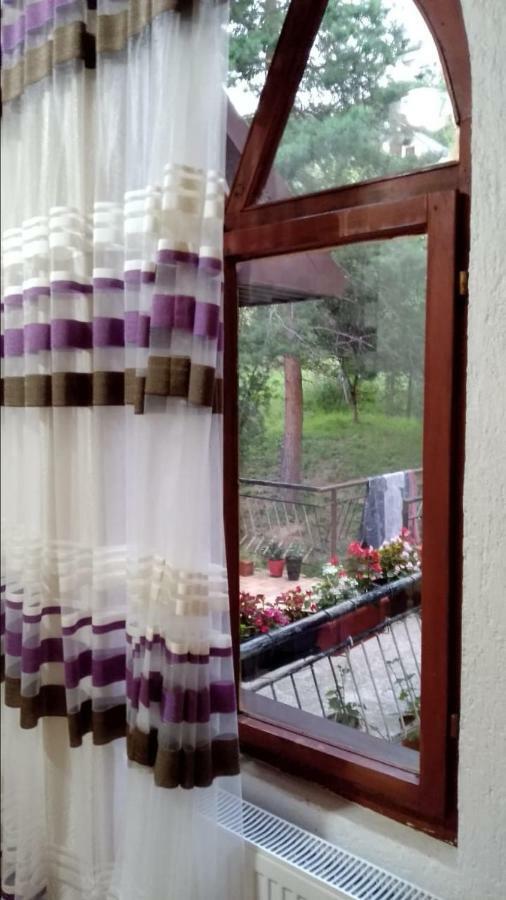 Vila Pandora Mavrovo Exteriér fotografie
